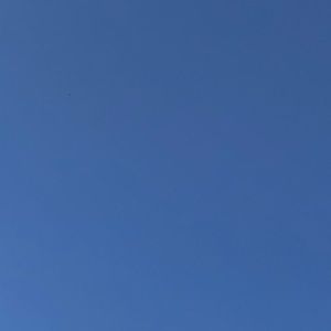 Meet your Posher, Dylan